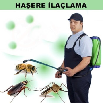 Afşin Böcek İlaçlama
